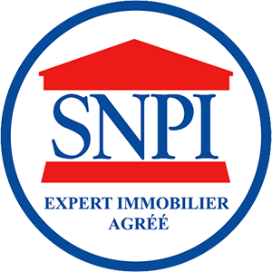 Logo SNPI